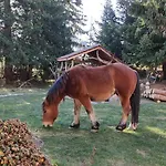 приказното място - The Fairytale Place * Smoljan