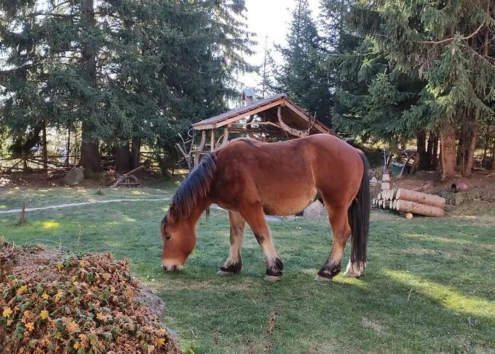 приказното място - The Fairytale Place * Smolyan